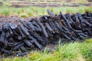 خاک تورب یا پیت (Peat) چیست؟