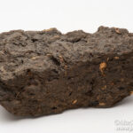 لیگنیت چیست؟ کاربرد و تشکیل این زغال سنگ